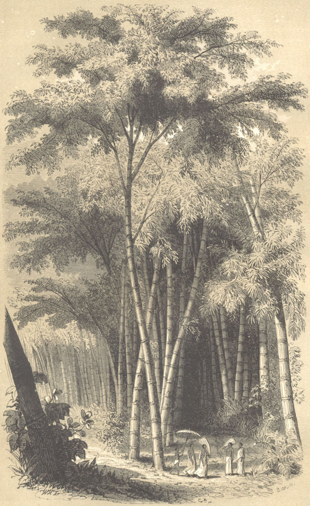 LANDSCAPES. Paysage Hindou 1852 old antique vintage print picture